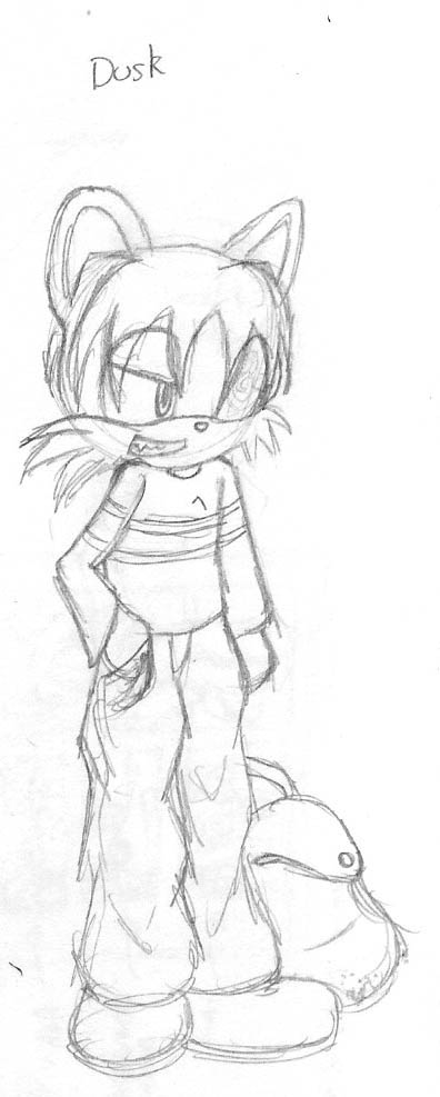 dusk(Forgot the Tail)