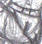 lastscan