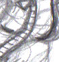 lastscan2