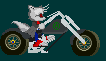 harly davidson with white