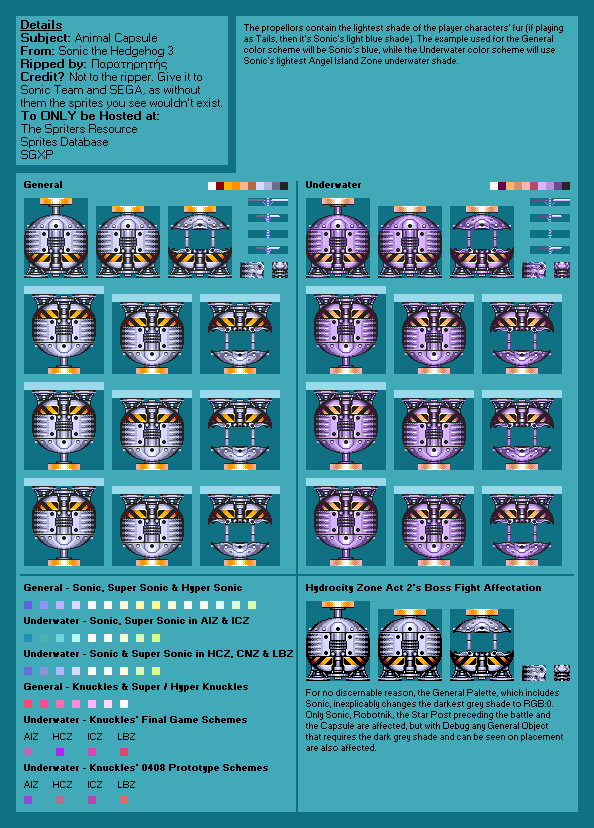 Capsule (S3)