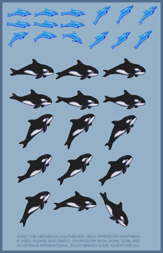 Dolphin & Orca