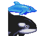 Dolphin & Orca icon