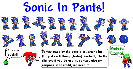 sonicpants-big