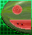 Water Melon