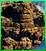 Pumkinhillothersbackdrop
