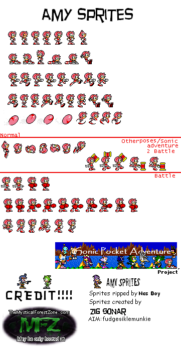 Amy8bit ZS
