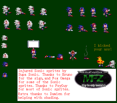 Injured Sonic