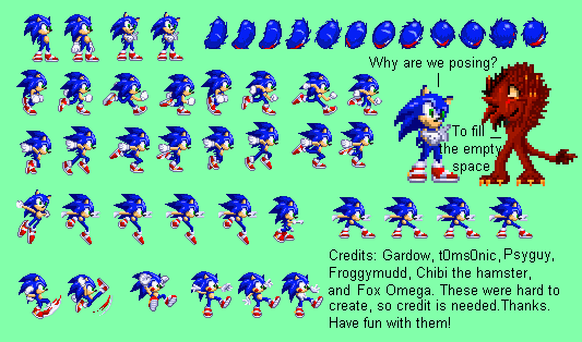 Sonic 06 Gardow