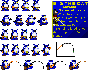 big the cat