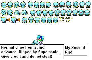 Chao Adv SS