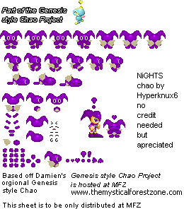Nights sheet