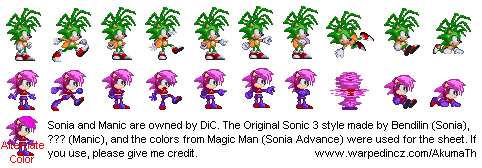Sonic Underground
