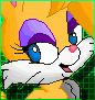 newbunnyqq2